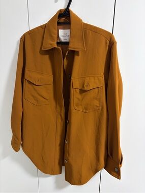 Wilfred from Aritzia Button Down Top